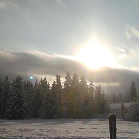 Ferienwohnungen Recherhof Hochfilzen Exteriér fotografie